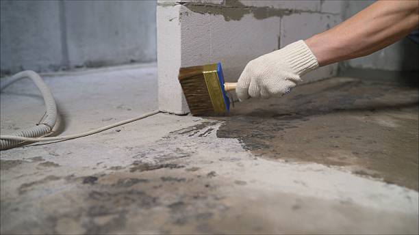 24/7 Emergency Wet Basement Repair experts in Lake Orion, MI